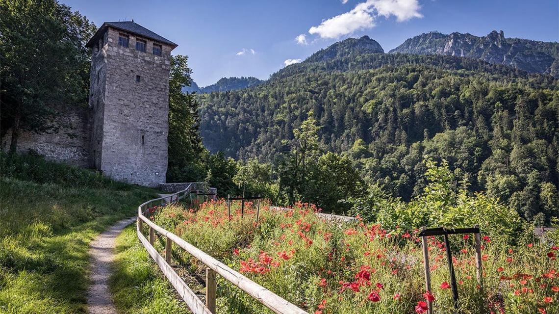 Ferienwohnungen Brigitte In Der Altstadt Bad Reichenhall Exteriér fotografie